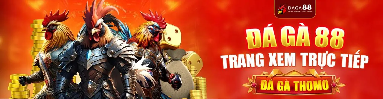 Đấu Gà Trực Tuyến nohu 28 đăng nhập